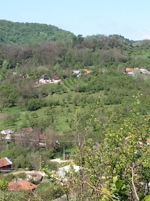 Vând teren intravilan  Boteni Argeș   9000 mp.  4 euro mp