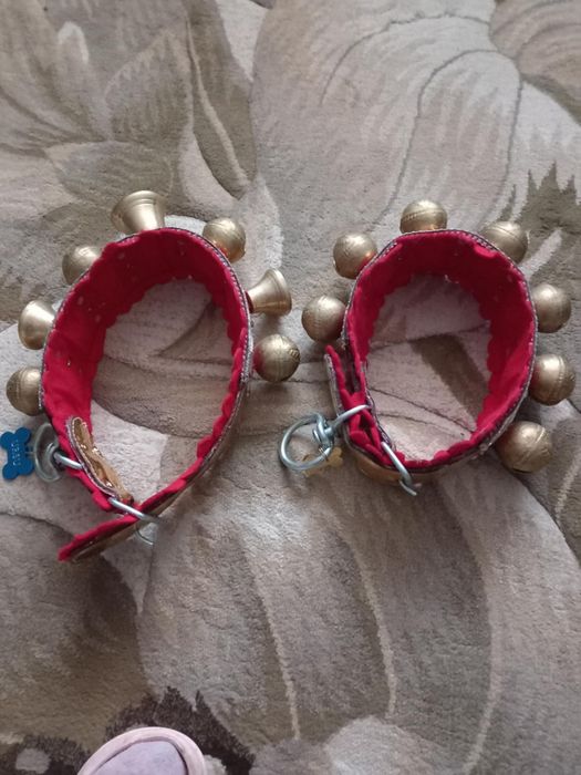 Zgarda din piele pentru caini