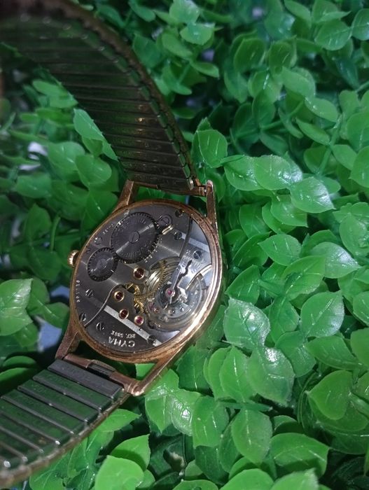 Сума Swiss Jewels позлатен часовник - 99 лв