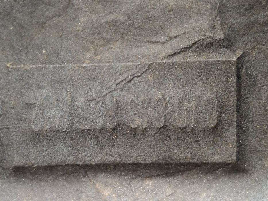 Mocheta capota AUDI A3 Sportback 8VA, 8VF 2012 - > TDI CLHA 8V0863825