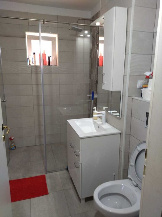 Cabană cu Ciubăr in Tocile (Sadu)