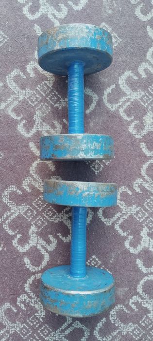 Gantel 10 kilolik 2 ta