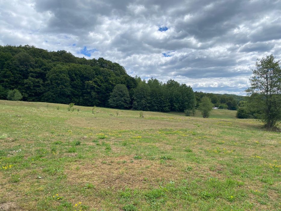 Vand teren Draghici !