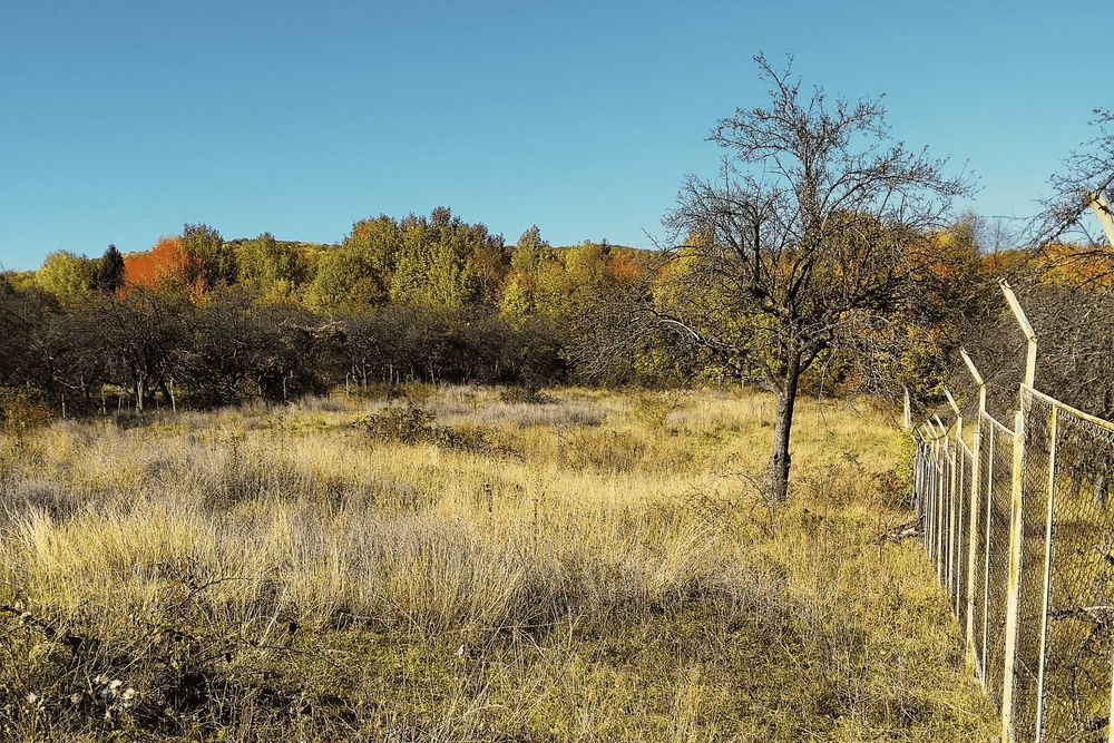 Teren intravilan 500 mp Campina zona premium cu Privelisti panoramice