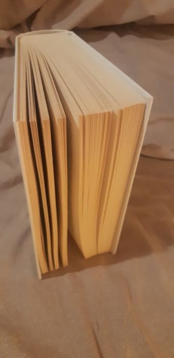 Alegerea Sophiei Carte Cult