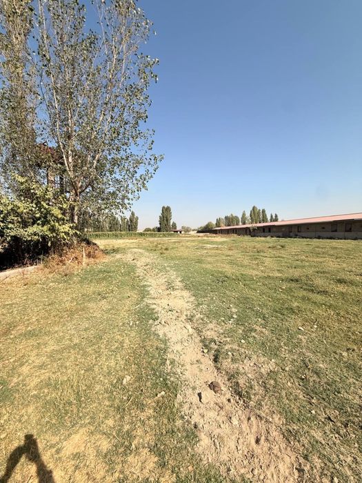 Продается земля, недалеко от города Чирчика, недоезжая платины