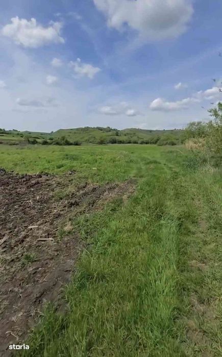Teren de vanzare - extravilan - OFERTA