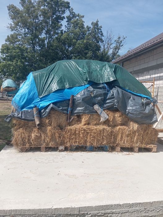Vând baloți, iarbă semanată