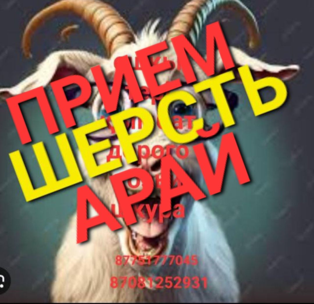 Козьи шерсть ешкі жүні