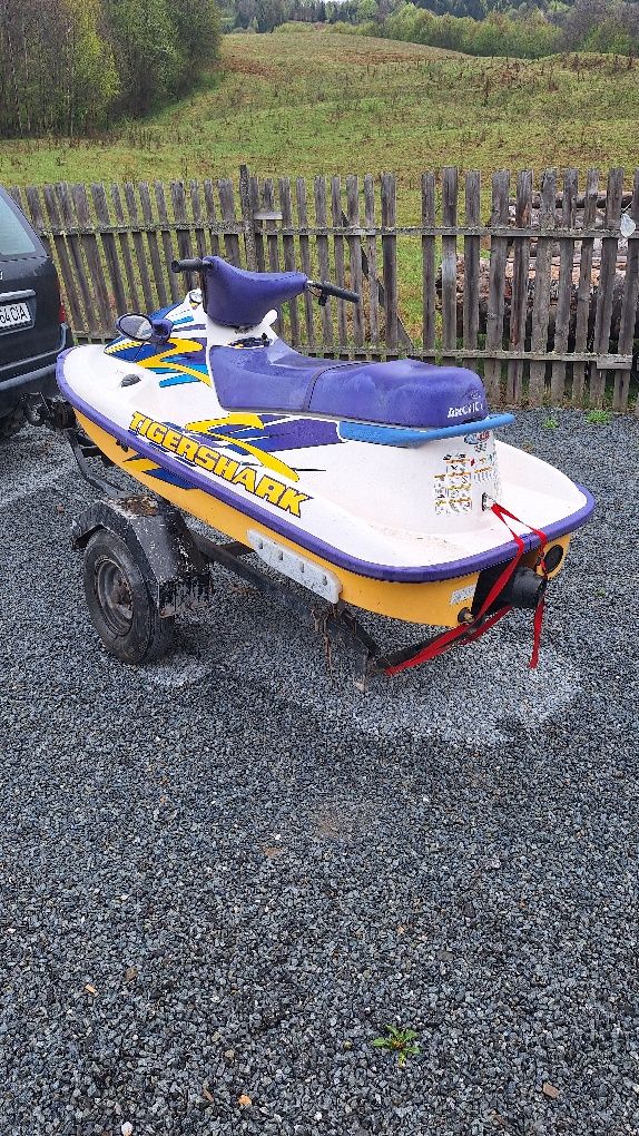 Skijet jetski  Arcticat