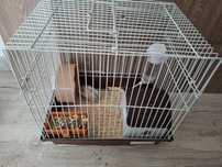 Vand doi hamsteri pitici