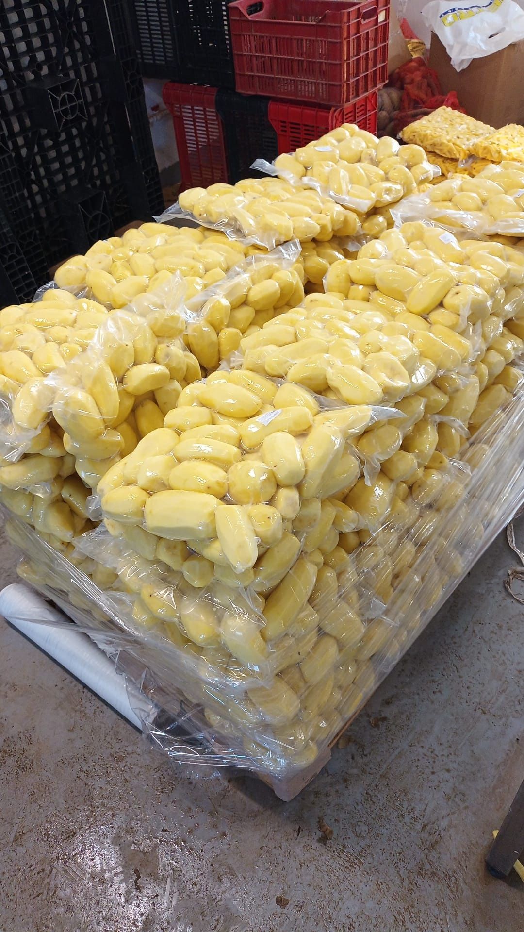 Cartofi import cal 1 sac 25kg și 10kg