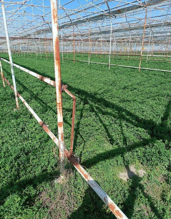 Иссикхона сотилади