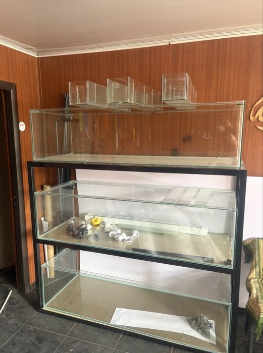 Новый стеллаж из трех аквариумов