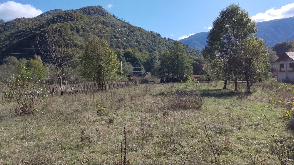 Vand teren in com. Malaia jud. valcea