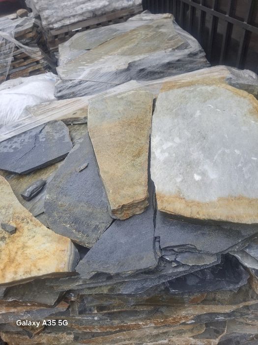 Vând plante ornamentale și piatra naturala