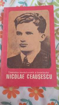 Se vinde carte Nicolae Ceausescu...