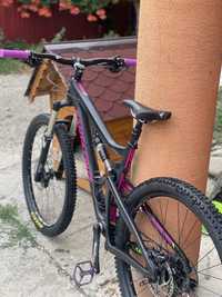 Santa Cruz Bronson