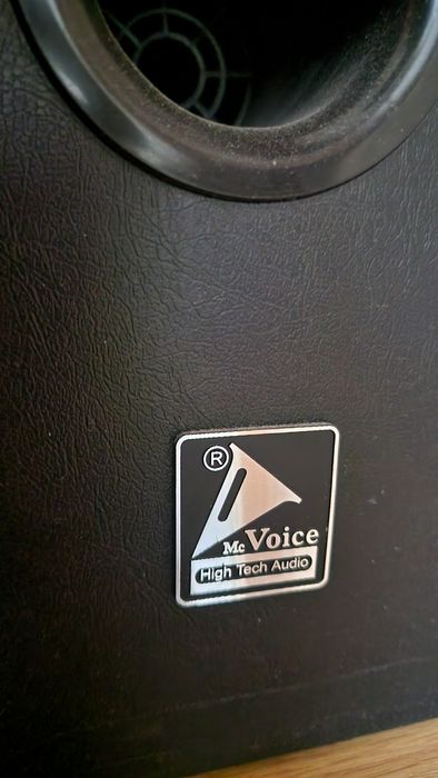 Тонколони Mc Voice