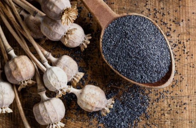 De vânzare mac Nădlac