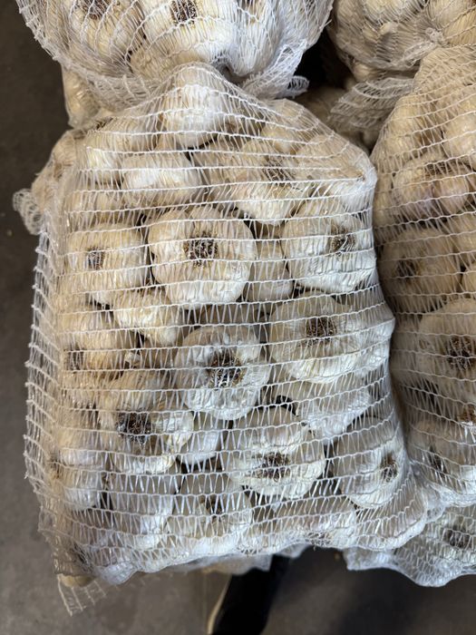 Vand usturoi calitatea 1