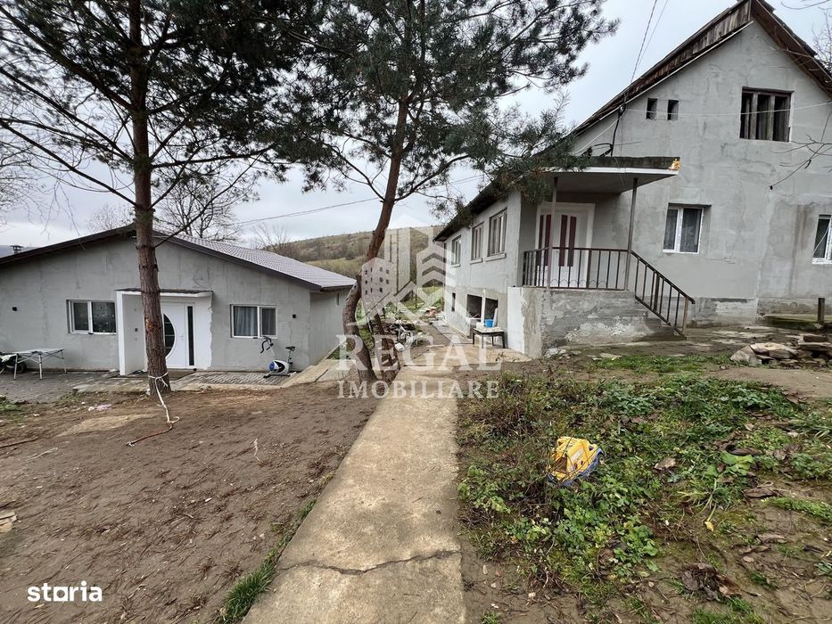 Două case individuale de vânzare în Teliuc –ideale pentru două familii