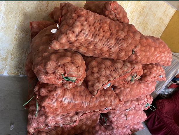 Домашняя картошка , сорт розовая 200 тг за килограмм