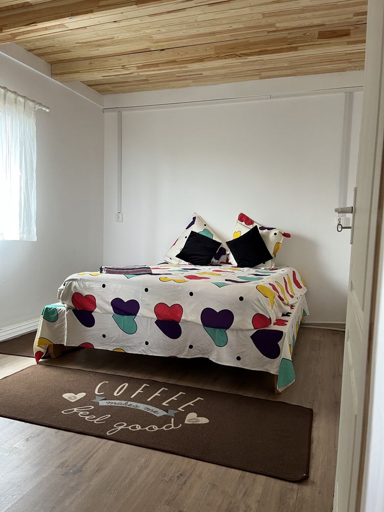Cabana de vanzare sau inchiriat Baisoara