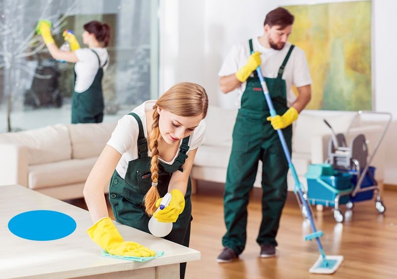 Dinamodclean.ro-servicii de curatenie