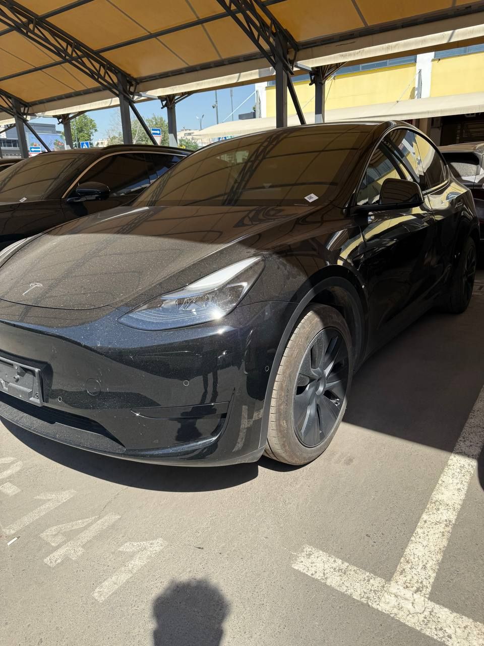 Tesla y model elektr