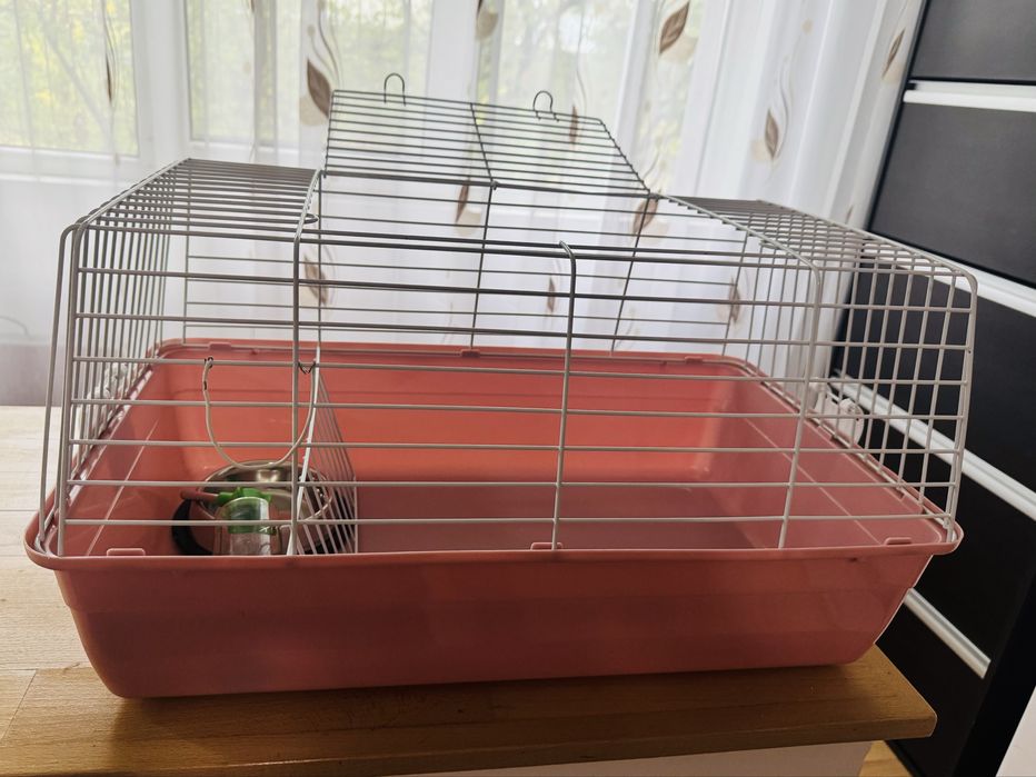 Cusca rozatoare ideala iepurasi(noua)