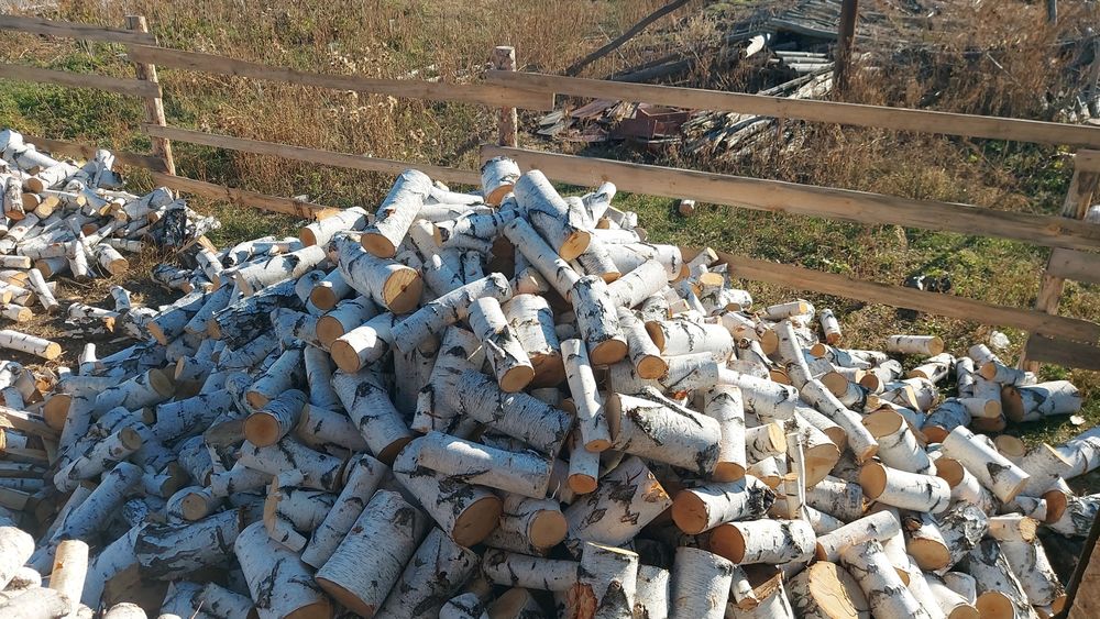 Продам дрова чуркованные возим по 12 кубов цена за 1 куб 14 000 тенге