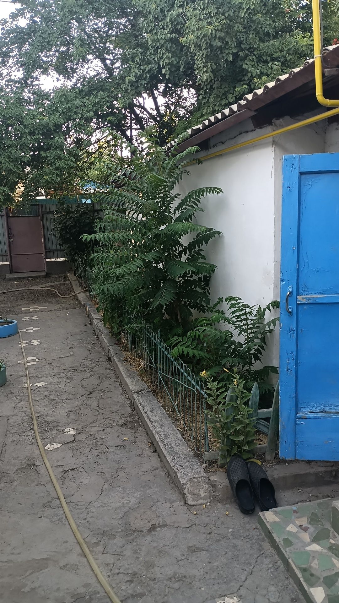 Продается 5 комнатный дом город Шардара.ул айтеки би 5.