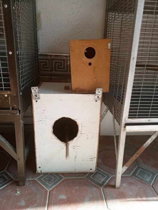 Gnezdo sotiladi holati yaxshi