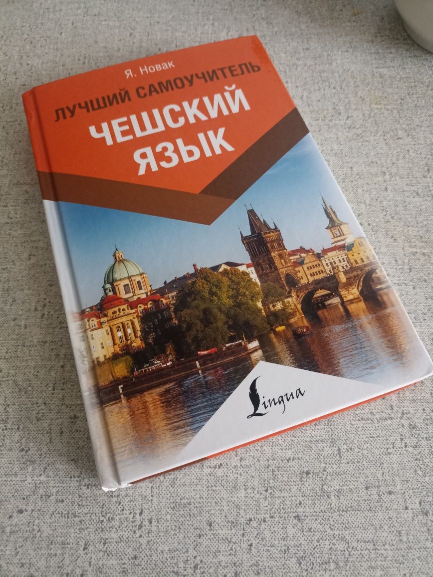 книга Чешский язык