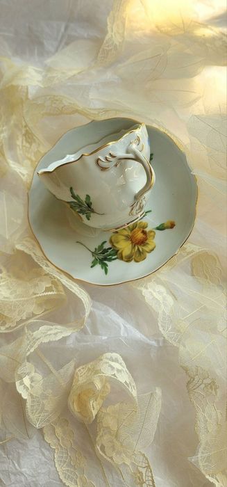 Чайная пара MEISSEN