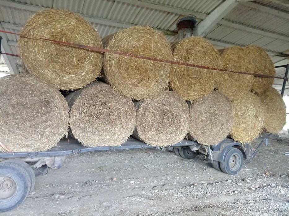 Baloți de paie și de mazăre