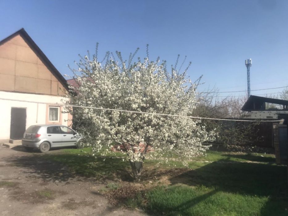 Сдам дом үлкен үй жалға береміз