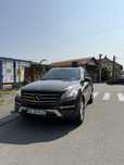 Mercedes Benz 250 Bluetec 4matic Airmatic memorii