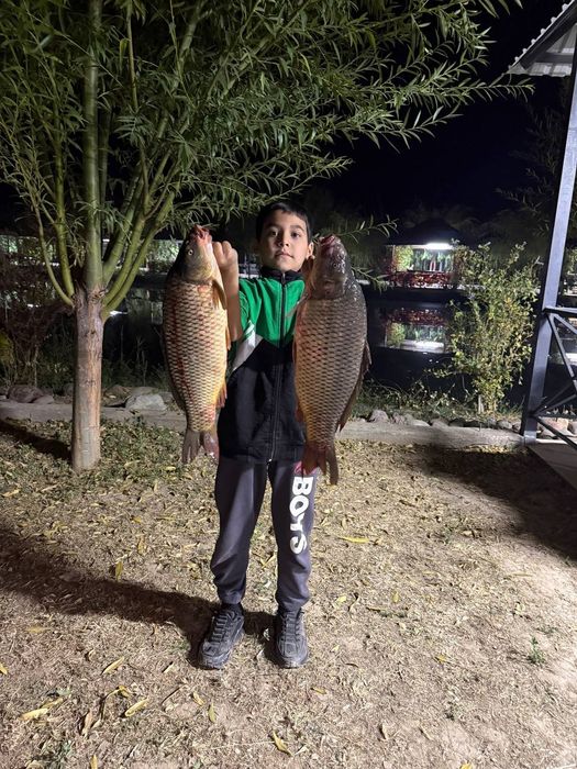 ЭКО ОРОЛ рыбалка И отдых