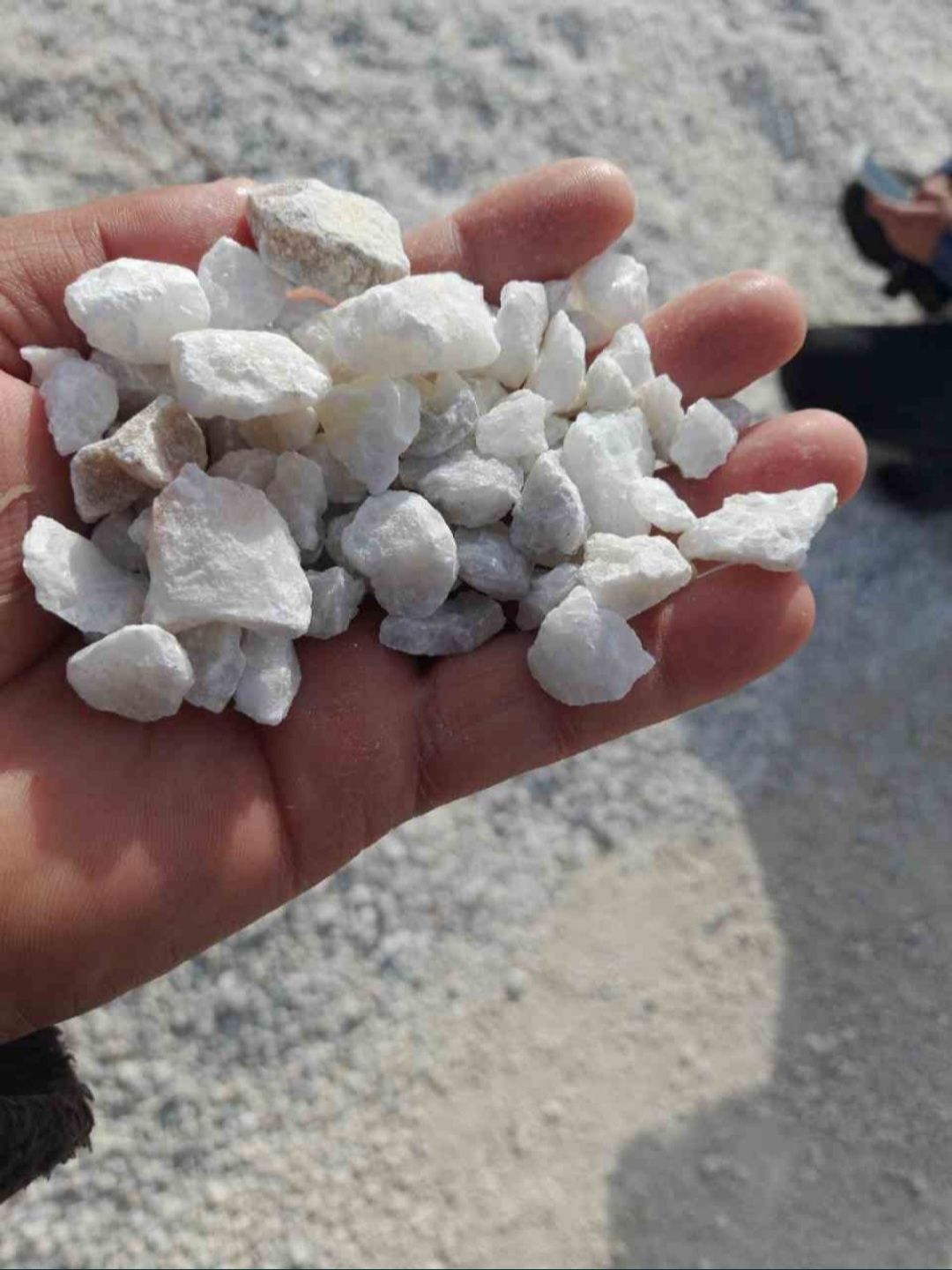 Mazayka mramornaya