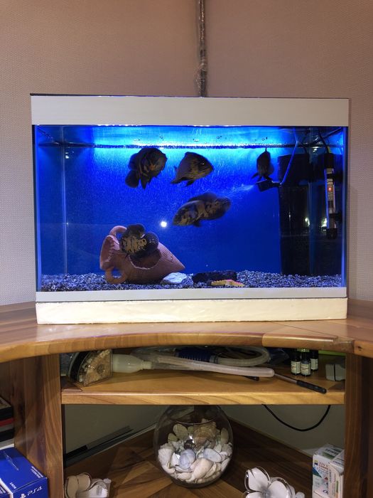 Продам комплект аквариум