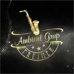 Formatia Ambient Grup Prejmer, formatie nunta, botez,petreceri private