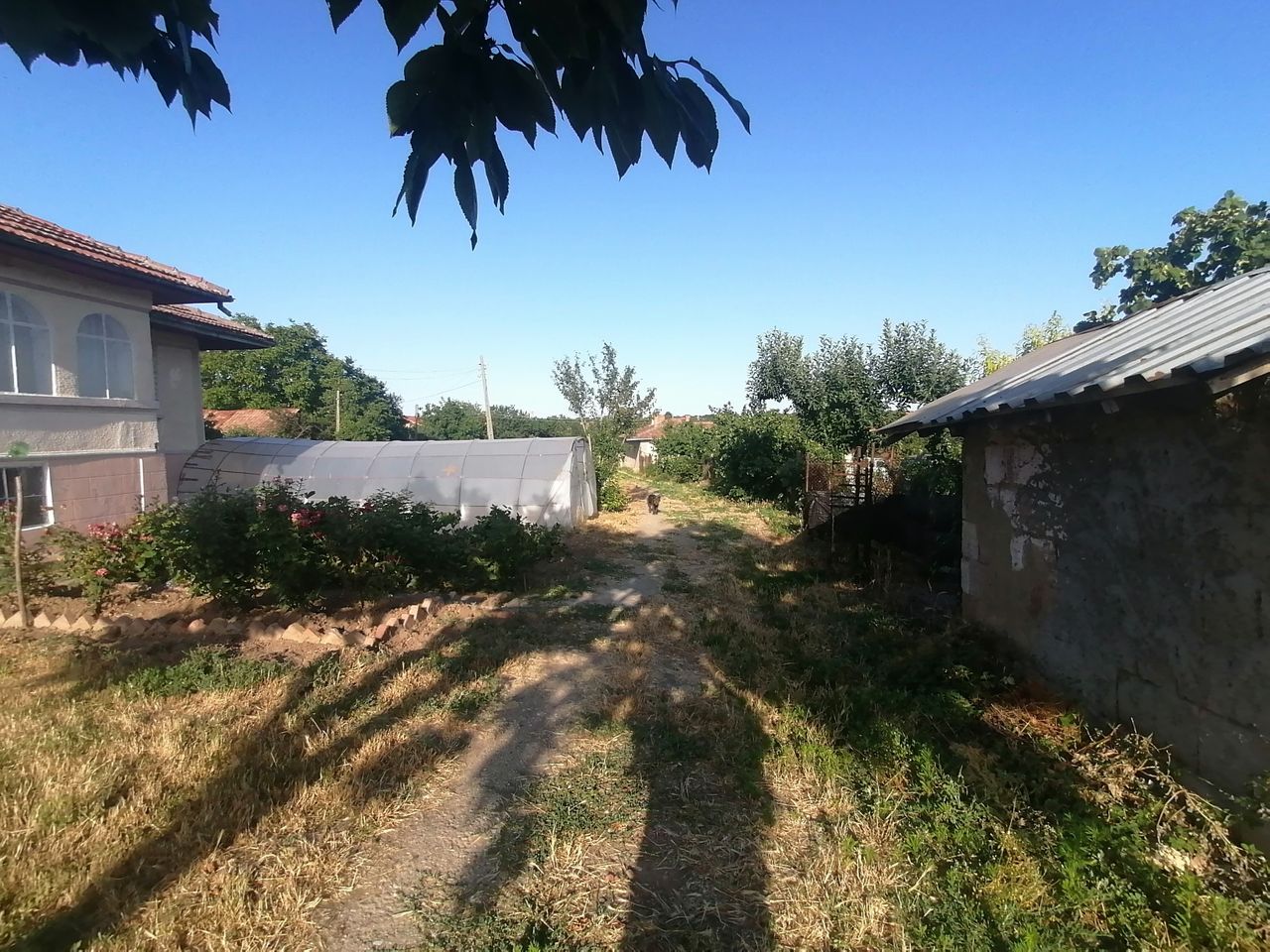 Продава се Къща в Алфатар - 230 кв.м за 100 €/кв.м - Снимка #3