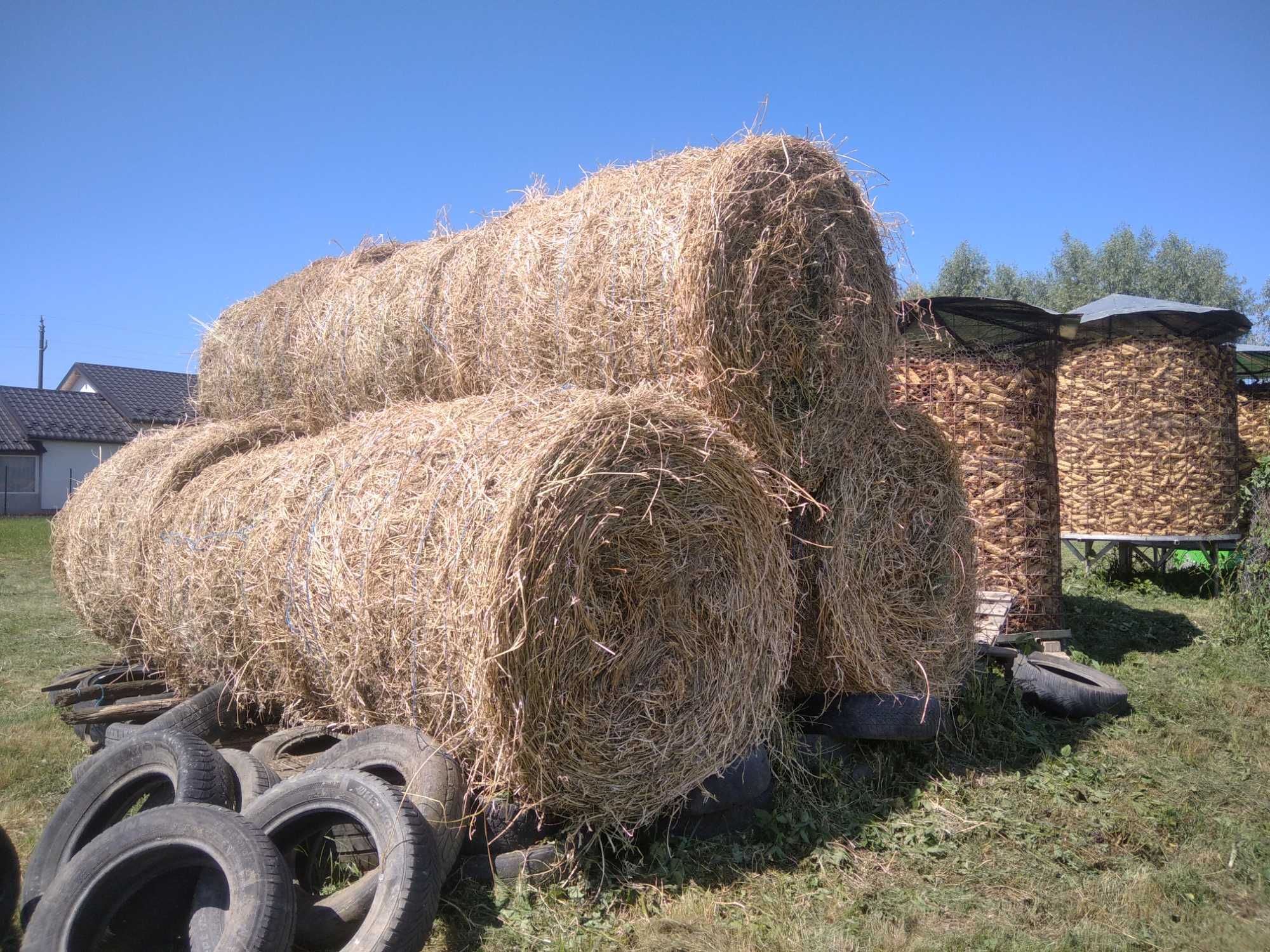 Baloți   Lucernă