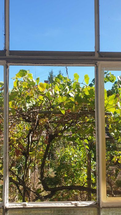 Стъклар на адрес в София.