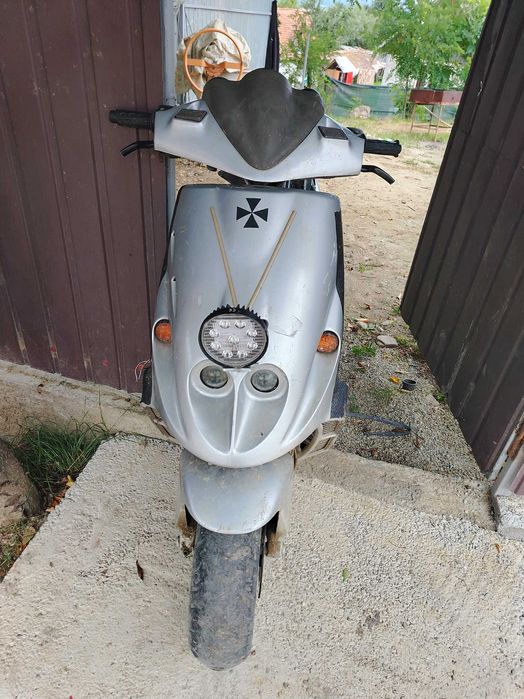 Vând malaguti f12