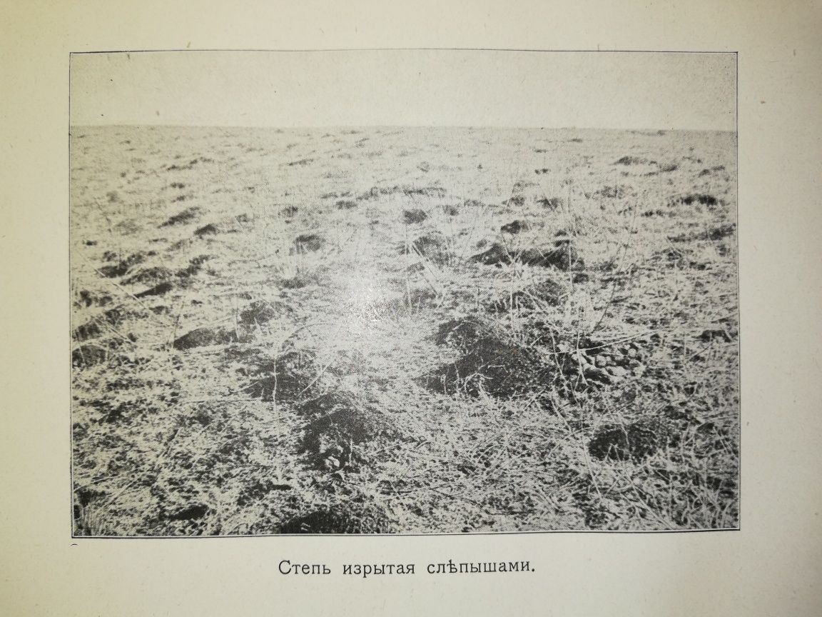Почвы долины реки Чу.