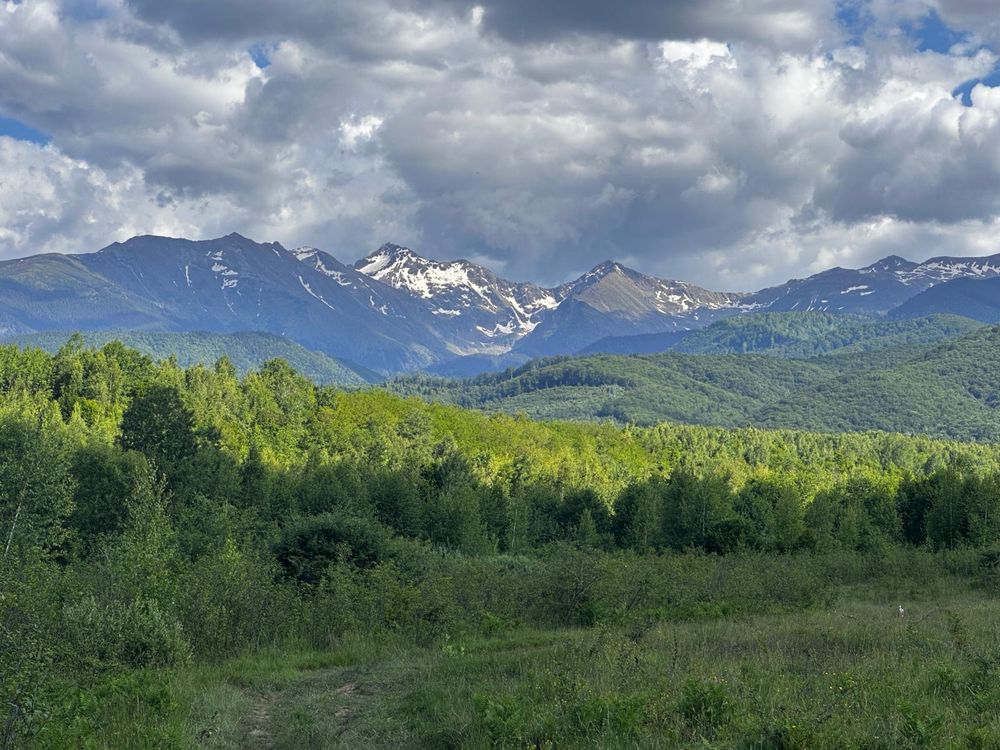 Teren intravilan Valea Avrigului  860 mp