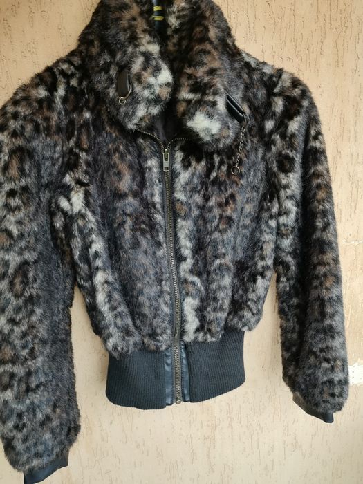 Суитчер, с къс косъм